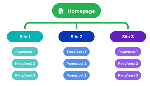 Hierarchy of website pages